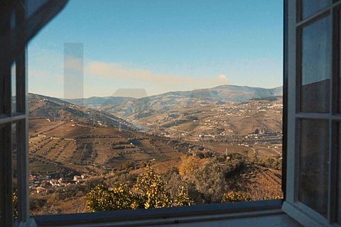 Farm i Lamego, Viseu, Lamego - € 1.840.000 | Ref: KWPT-016067 - foto 17