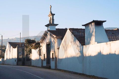 Farm i Lamego, Viseu, Lamego - € 1.840.000 | Ref: KWPT-016067 - foto 22