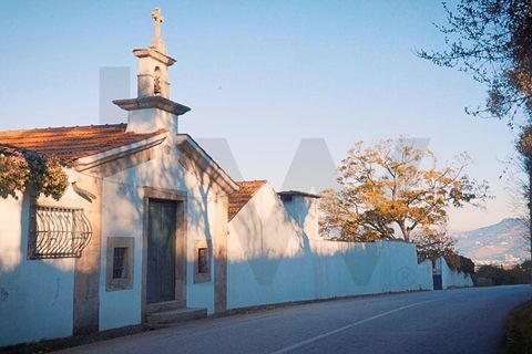 Farm i Lamego, Viseu, Lamego - € 1.840.000 | Ref: KWPT-016067 - foto 23