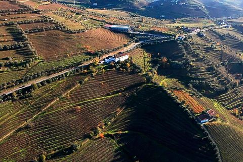 Farm i Lamego, Viseu, Lamego - € 1.840.000 | Ref: KWPT-016067 - foto 25