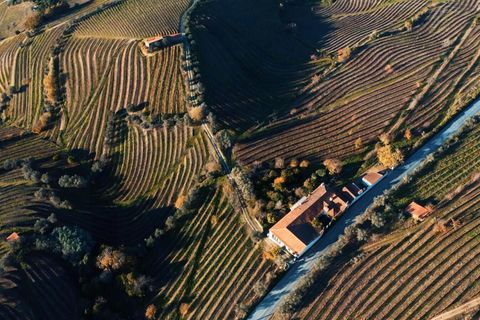 Farm i Lamego, Viseu, Lamego - € 1.840.000 | Ref: KWPT-016067 - foto 26