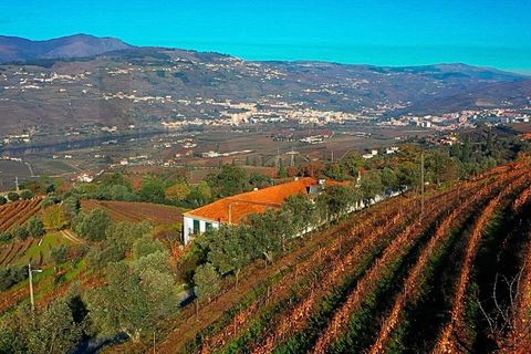 Farm i Lamego, Viseu, Lamego - € 1.840.000 | Ref: KWPT-016067 - foto 27