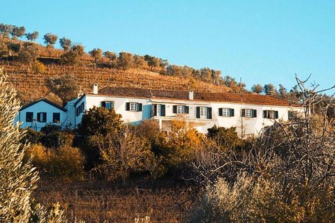 Farm i Lamego, Viseu, Lamego - € 1.840.000 | Ref: KWPT-016067 - foto 28