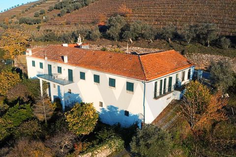 Farm i Lamego, Viseu, Lamego - € 1.840.000 | Ref: KWPT-016067 - foto 29