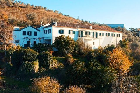 Farm i Lamego, Viseu, Lamego - € 1.840.000 | Ref: KWPT-016067 - foto 30