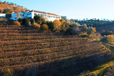 Farm i Lamego, Viseu, Lamego - € 1.840.000 | Ref: KWPT-016067 - foto 31