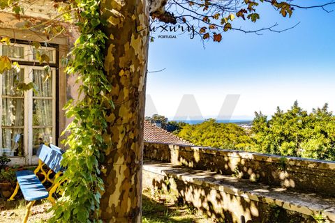 Farm i Sintra, Lisbon, Sintra - € 4.000.000 | Ref: KWPT-024398 - foto 4