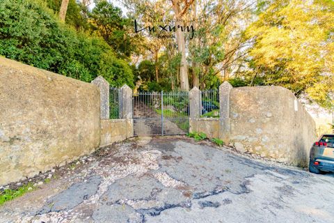 Farm i Sintra, Lisbon, Sintra - € 4.000.000 | Ref: KWPT-024398 - foto 20