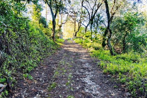 Farm i Sintra, Lisbon, Sintra - € 4.000.000 | Ref: KWPT-024398 - foto 21