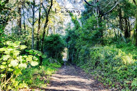 Farm i Sintra, Lisbon, Sintra - € 4.000.000 | Ref: KWPT-024398 - foto 22