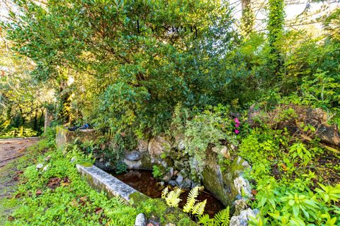 Farm i Sintra, Lisbon, Sintra - € 4.000.000 | Ref: KWPT-024398 - foto 23