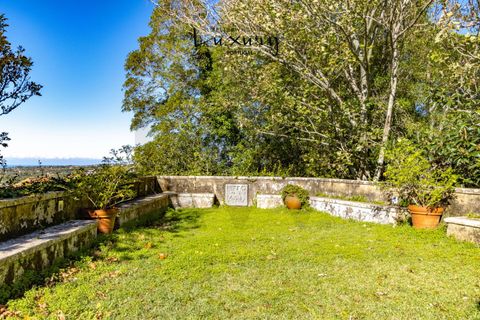 Farm i Sintra, Lisbon, Sintra - € 4.000.000 | Ref: KWPT-024398 - foto 24