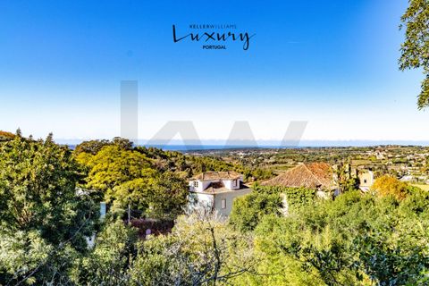 Farm i Sintra, Lisbon, Sintra - € 4.000.000 | Ref: KWPT-024398 - foto 37