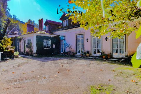 Farm i Sintra, Lisbon, Sintra - € 4.000.000 | Ref: KWPT-024398 - foto 38
