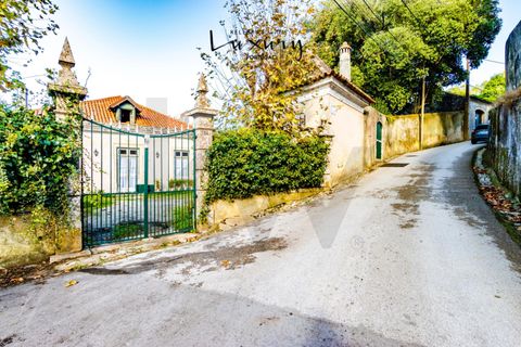 Farm i Sintra, Lisbon, Sintra - € 4.000.000 | Ref: KWPT-024398 - foto 45