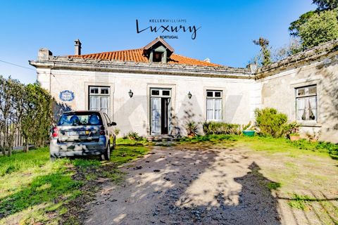 Farm i Sintra, Lisbon, Sintra - € 4.000.000 | Ref: KWPT-024398 - foto 46