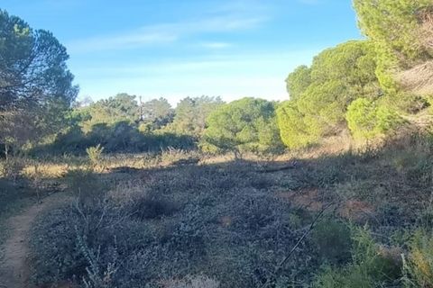 Lejlighed i Silves, Faro, Silves - € 61.000 | Ref: 340 - foto 2