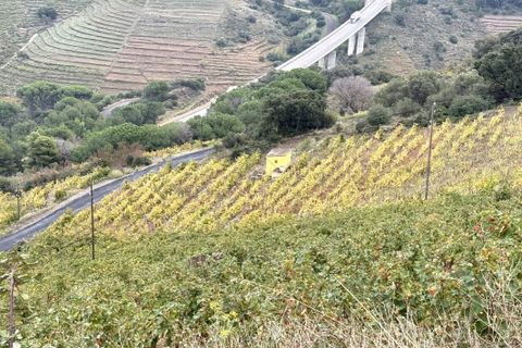 Terra a Collioure, Pyrenees-Orientales, Collioure - € 24.000 | Ref: 6893 - foto 2