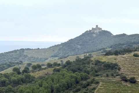 Terra a Collioure, Pyrenees-Orientales, Collioure - € 24.000 | Ref: 6893 - foto 4