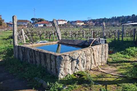 Helårsgrund i Moncao, Viana do Castelo, Moncao - € 170.000 | Ref: SF-SAFTI:007510 - foto 2