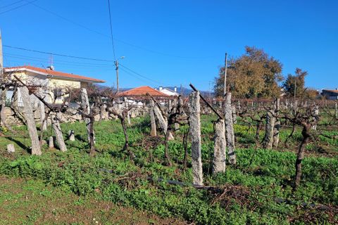 Helårsgrund i Moncao, Viana do Castelo, Moncao - € 170.000 | Ref: SF-SAFTI:007510 - foto 3