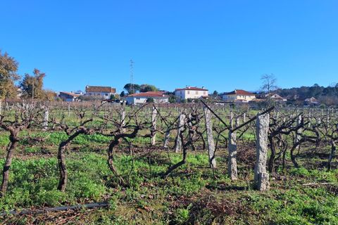 Helårsgrund i Moncao, Viana do Castelo, Moncao - € 170.000 | Ref: SF-SAFTI:007510 - foto 4