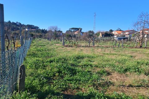 Helårsgrund i Moncao, Viana do Castelo, Moncao - € 170.000 | Ref: SF-SAFTI:007510 - foto 11