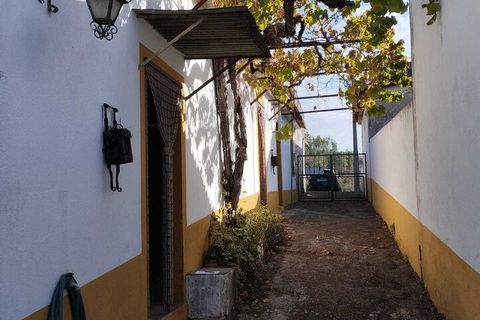Farm i Mouriscas, Santarem, Mouriscas - € 95.000 | Ref: SF-SAFTI:007496 - foto 2