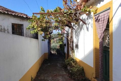 Farm i Mouriscas, Santarem, Mouriscas - € 95.000 | Ref: SF-SAFTI:007496 - foto 3