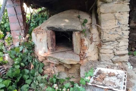 Farm i Mouriscas, Santarem, Mouriscas - € 95.000 | Ref: SF-SAFTI:007496 - foto 7