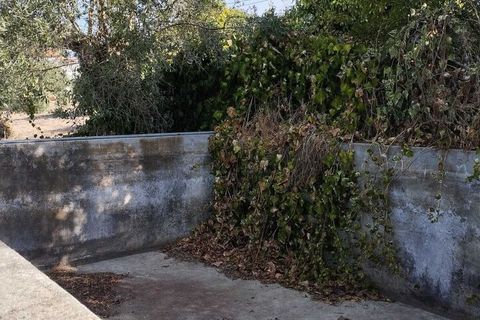 Farm i Mouriscas, Santarem, Mouriscas - € 95.000 | Ref: SF-SAFTI:007496 - foto 9