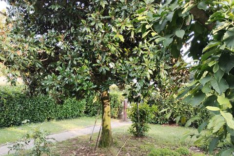 Villa i Osio Sotto, Bergamo, Osio Sotto - € 235.000 | Ref: DB-VO - foto 4