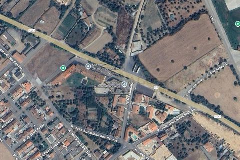 Lejlighed i Golega, Santarem, Golega - € 215.000 | Ref: APA_103 - foto 23