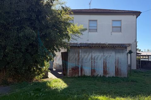 Villa a Rosignano Marittimo, Livorno, Rosignano Marittimo - € 310.000 | Ref: 1807 - foto 26