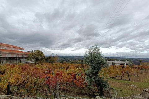 Helårsgrund i Penalva do Castelo, Viseu, Penalva do Castelo - € 49.900 | Ref: 389250250 - foto 2