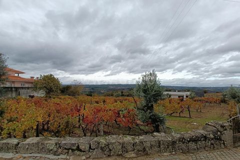 Helårsgrund i Penalva do Castelo, Viseu, Penalva do Castelo - € 49.900 | Ref: 389250250 - foto 4