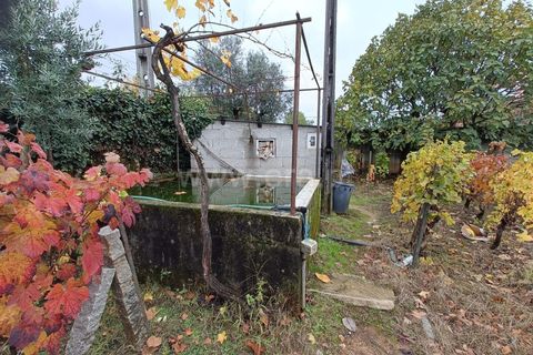 Helårsgrund i Penalva do Castelo, Viseu, Penalva do Castelo - € 49.900 | Ref: 389250250 - foto 5