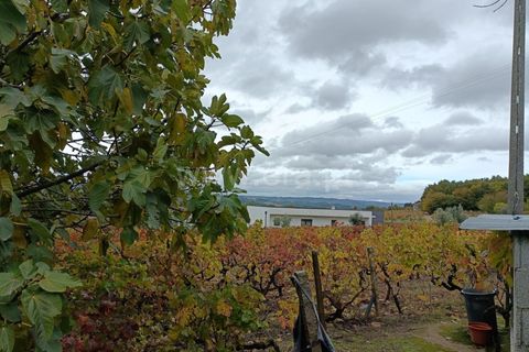 Helårsgrund i Penalva do Castelo, Viseu, Penalva do Castelo - € 49.900 | Ref: 389250250 - foto 6