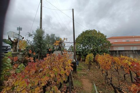 Helårsgrund i Penalva do Castelo, Viseu, Penalva do Castelo - € 49.900 | Ref: 389250250 - foto 10