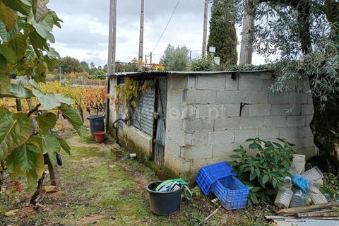 Helårsgrund i Penalva do Castelo, Viseu, Penalva do Castelo - € 49.900 | Ref: 389250250 - foto 12