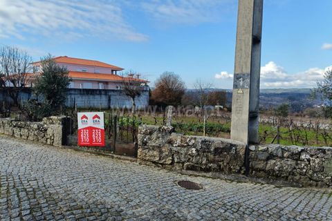 Helårsgrund i Penalva do Castelo, Viseu, Penalva do Castelo - € 49.900 | Ref: 389250250 - foto 17