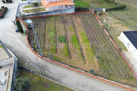 Helårsgrund i Penalva do Castelo, Viseu, Penalva do Castelo - € 49.900 | Ref: 389250250 - foto 18