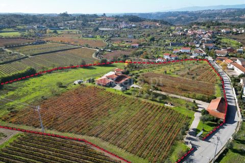 Villa a Mangualde, Viseu, Mangualde - € 1.150.000 | Ref: 389250244 - foto 18