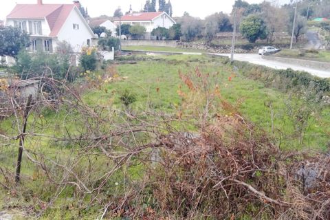 Helårsgrund i Mangualde, Viseu, Mangualde - € 40.000 | Ref: 389250252 - foto 5