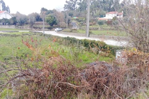 Helårsgrund i Mangualde, Viseu, Mangualde - € 40.000 | Ref: 389250252 - foto 8