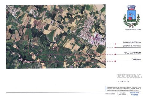Terra a Citerna, Perugia, Citerna - € 295.000 | Ref: 595 - foto 2