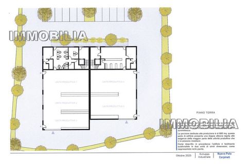 Terra a Citerna, Perugia, Citerna - € 295.000 | Ref: 595 - foto 6