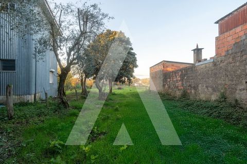 Villa i Lousa, Coimbra, Lousa - € 165.000 | Ref: 1121196/25CB - foto 32