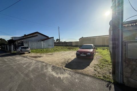 Helårsgrund i Gafanha do Carmo, Aveiro, Gafanha do Carmo - € 50.000 | Ref: AV25/214 - foto 3