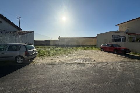 Helårsgrund i Gafanha do Carmo, Aveiro, Gafanha do Carmo - € 50.000 | Ref: AV25/214 - foto 11